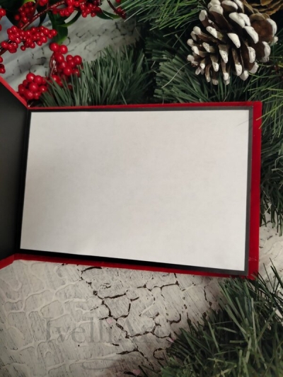 Мини абум за коледна фотосесия 